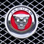 Logomarca da Jaguar. Falando sobre o seguro jaguar.
