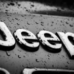 Logomarca da Jeep. Falando sobre o seguro jeep.